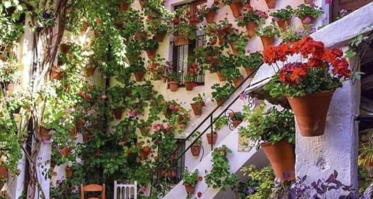 viaje foto PATIOS DE CÓRDOBA